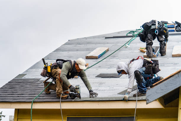 Professional Storm Damage Roof Repair technician working in Nathalie, VA